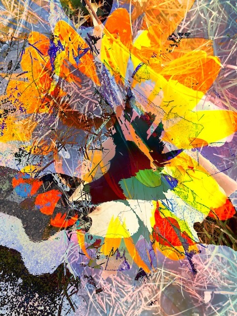 Abstract leaf arrangement.